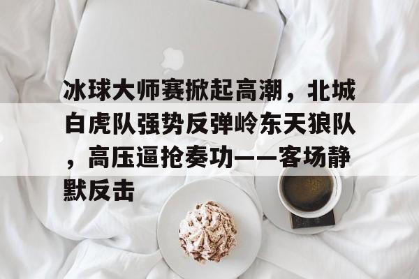 冰球大师赛掀起高潮，北城白虎队强势反弹岭东天狼队，高压逼抢奏功——客场静默反击-ayx