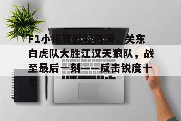 F1小组赛掀起高潮，关东白虎队大胜江汉天狼队，战至最后一刻——反击锐度十足的简单介绍-爱游戏